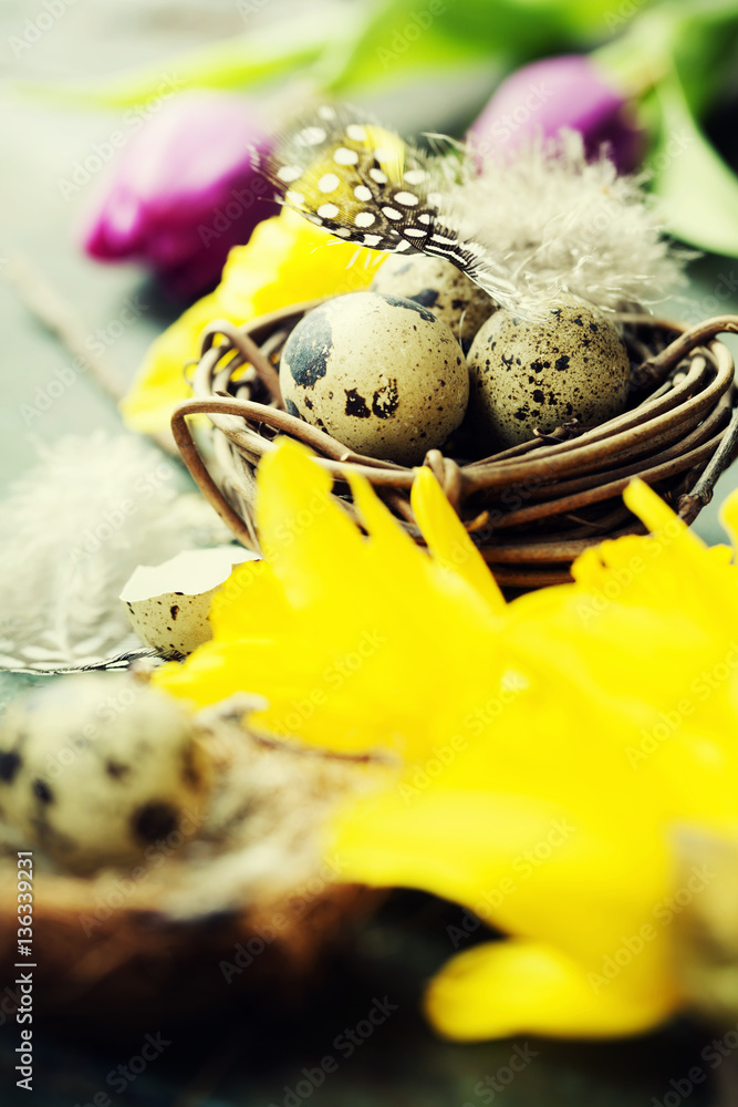 Easter composition with tulips, colorful eggs and nest