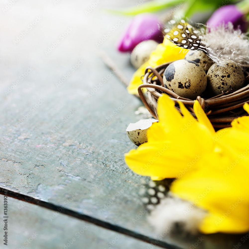 Easter composition with tulips, colorful eggs and nest