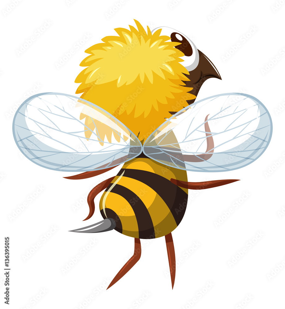 Back of bee flying