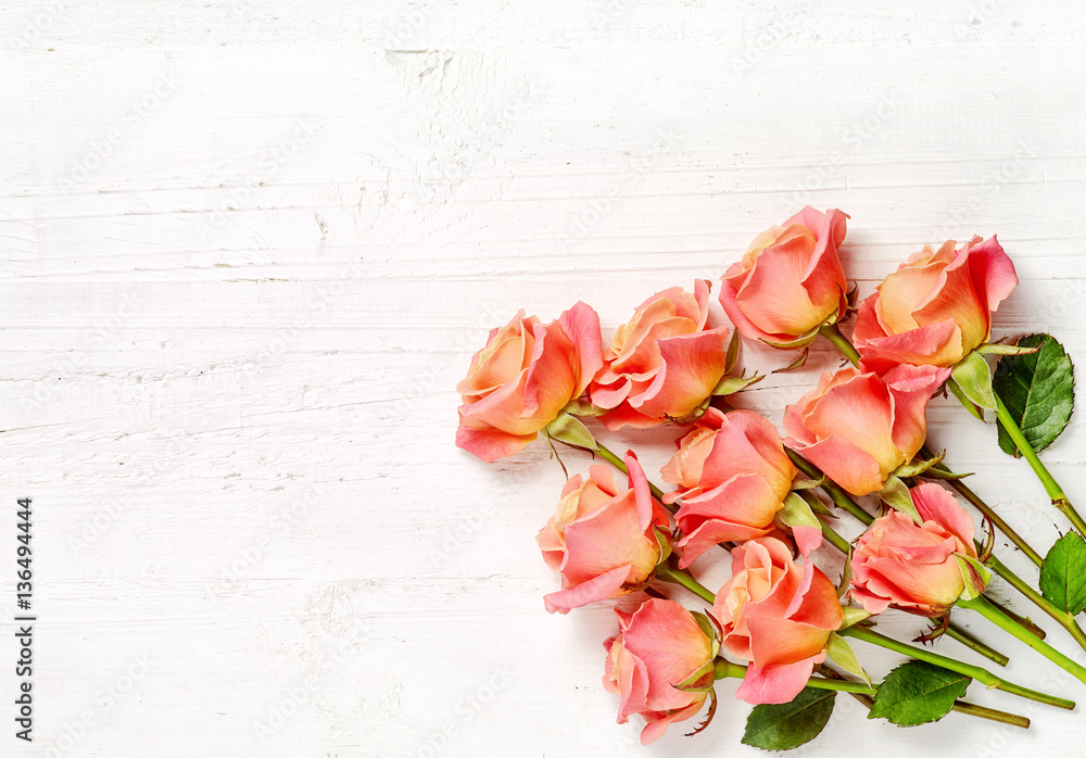 pink roses on white wood background