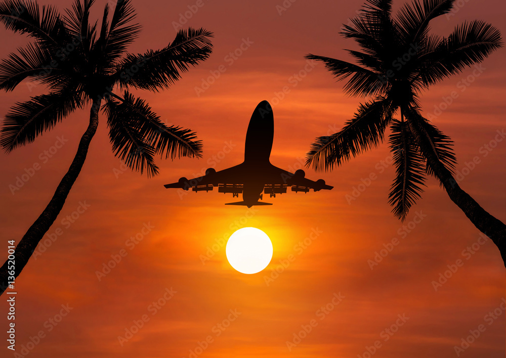 silhouette airplane flying in sunset with silhoutte coconut palm trees