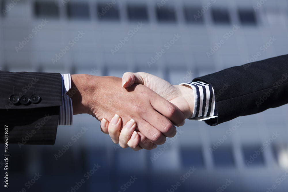 Businessman and woman shaking hands