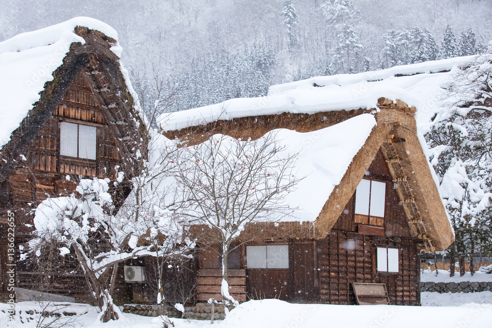 World Heritage Site Shirakawago village with snow in winter