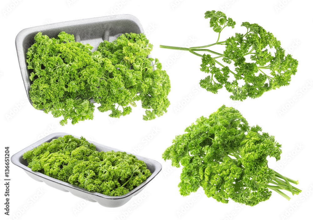 Parsley on white