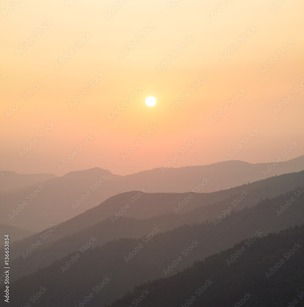 日出时的山谷。夏季的自然景观