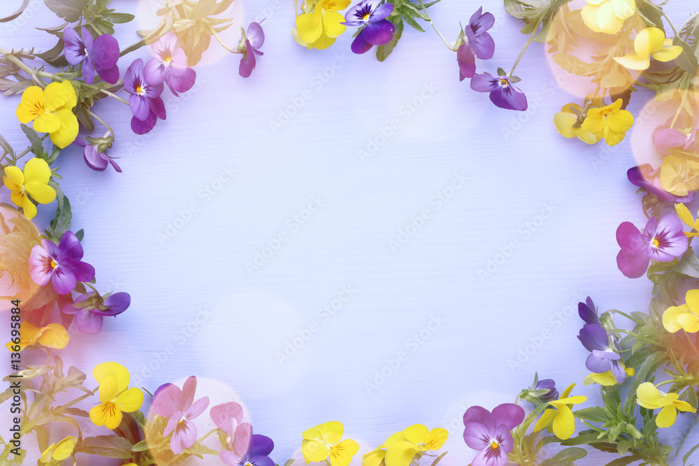 Spring flower frame