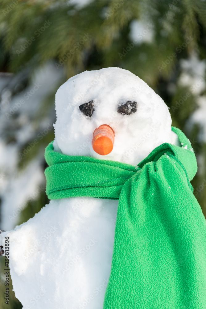 Bonhomme de neige avec son nez carotte et ses yeux de pierre. Echarpe verte.