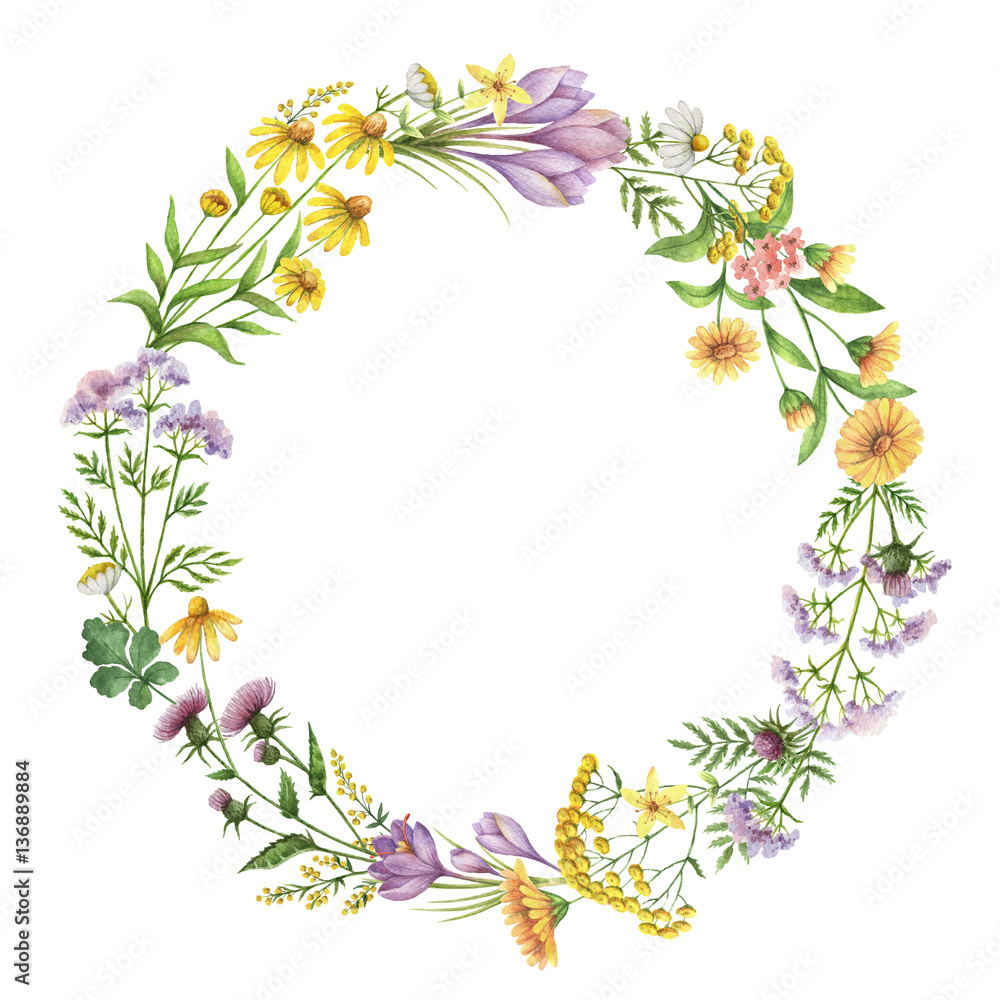 Watercolor round frame with medical plants.