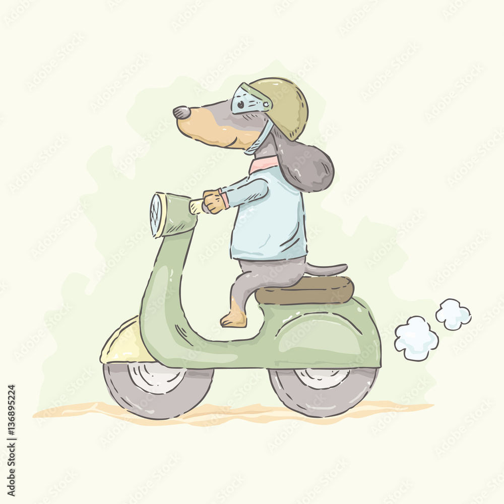 Cute cartoon Dachshund riding motorcycle in watercolor style, vector