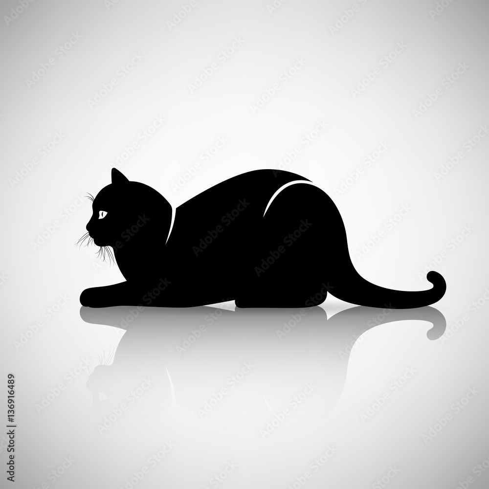 Silhouette of a Cat Lying