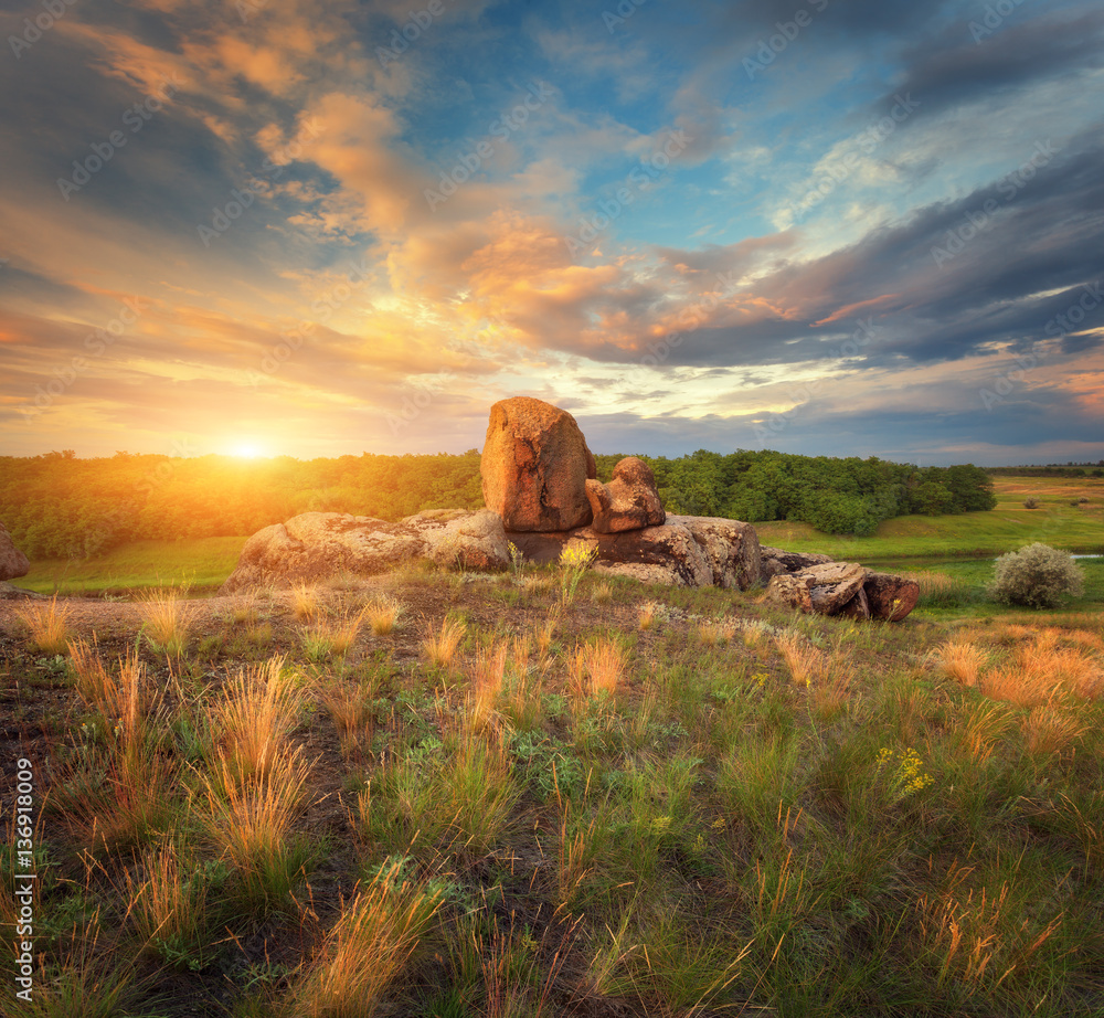 Summer landscape at sunset. Big stones, green and yellow grass against cloudy sky with sunlight. Tra