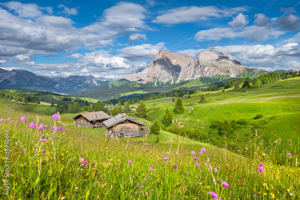 Alpe di Siusi in the Dolomites, South Tyrol, Italy