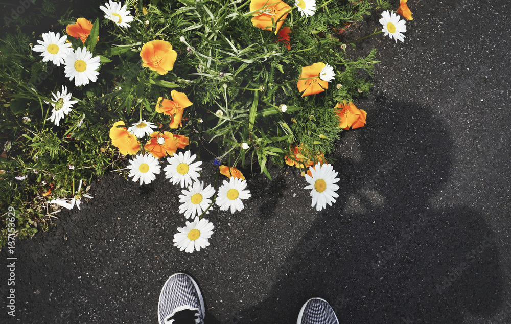 Flower Beauty Blossom Summer Concept