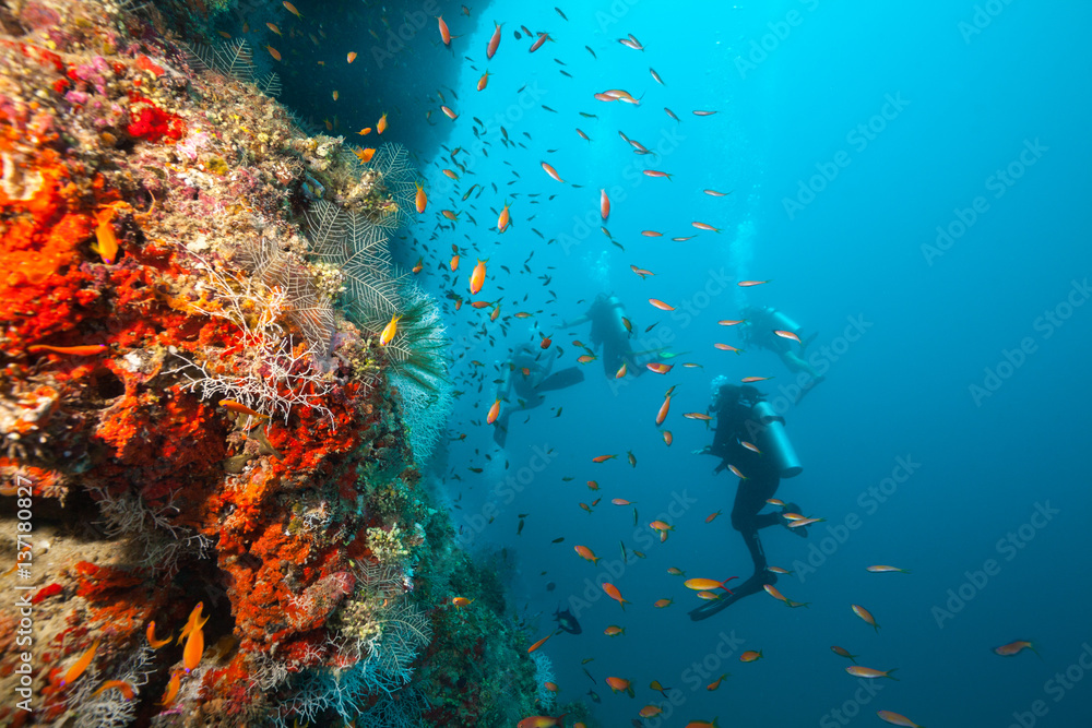 Group of scuba divers exploring coral reef