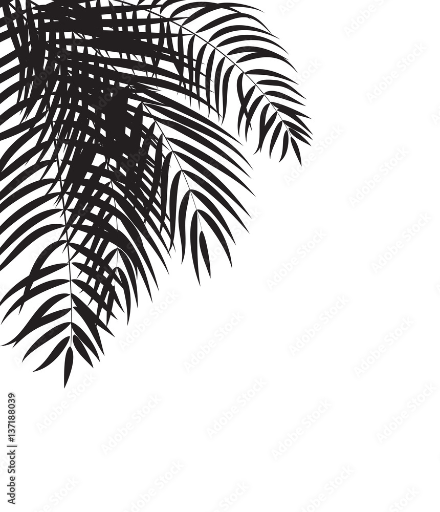 Beautifil Palm Tree Leaf  Silhouette Background Vector Illustrat