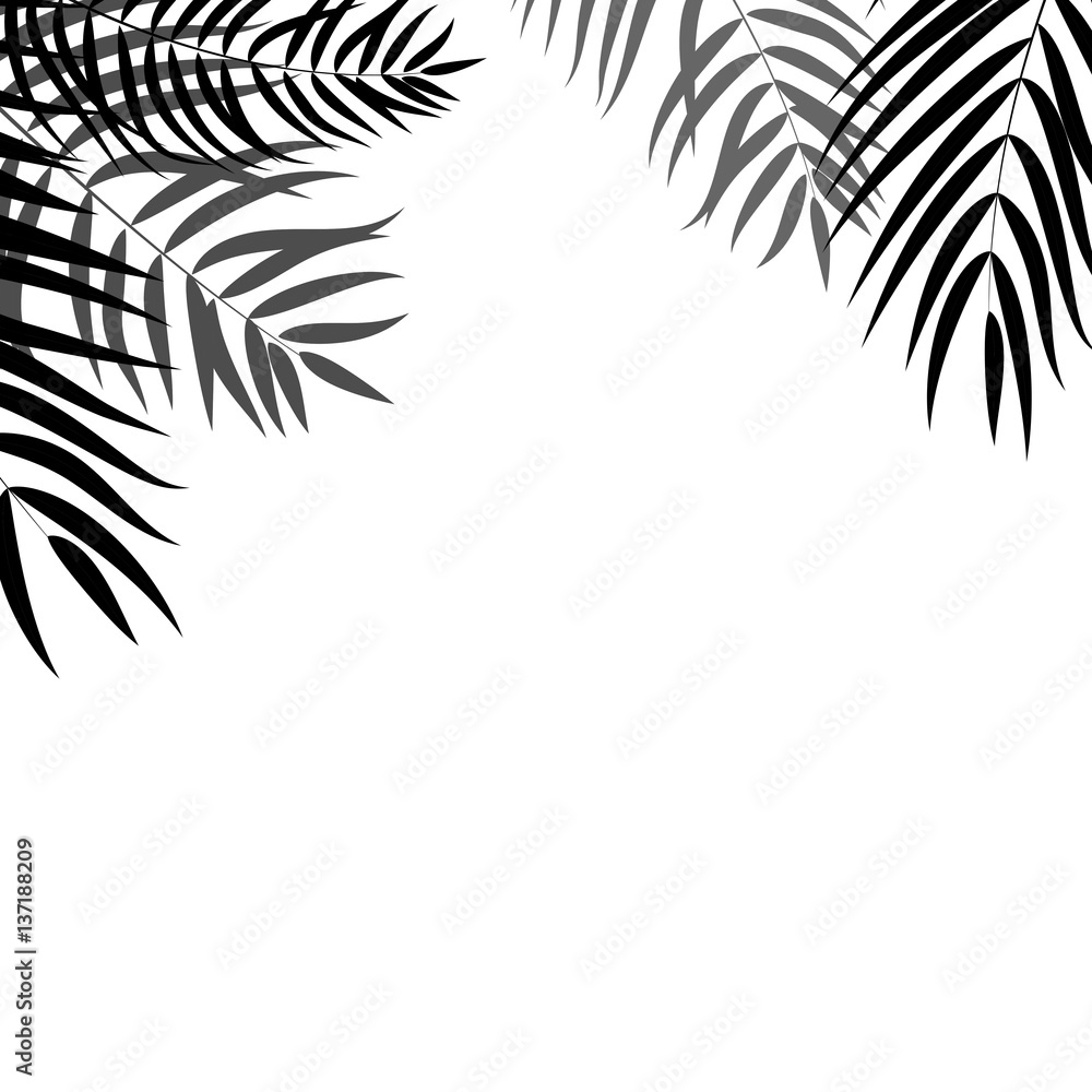 Beautifil Palm Tree Leaf  Silhouette Background Vector Illustrat