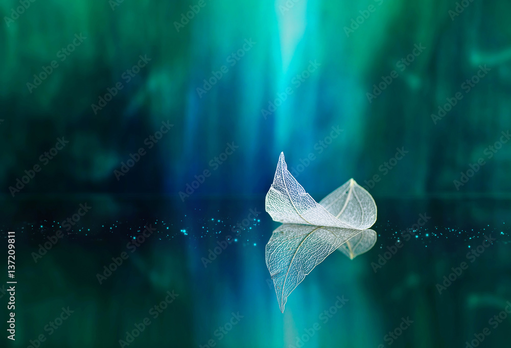 White transparent leaf on mirror surface with reflection on green background macro. Abstract artisti