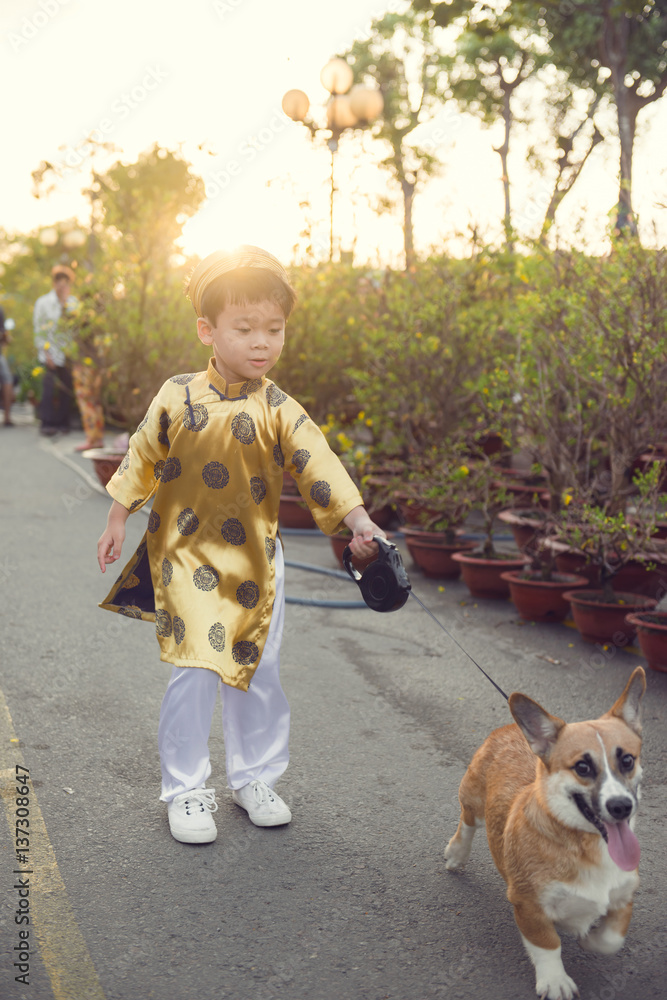 Happy kid having fun with traditional dress (ao dai) in Ochna Integerrima (Hoa Mai) garden. Hoa Mai 