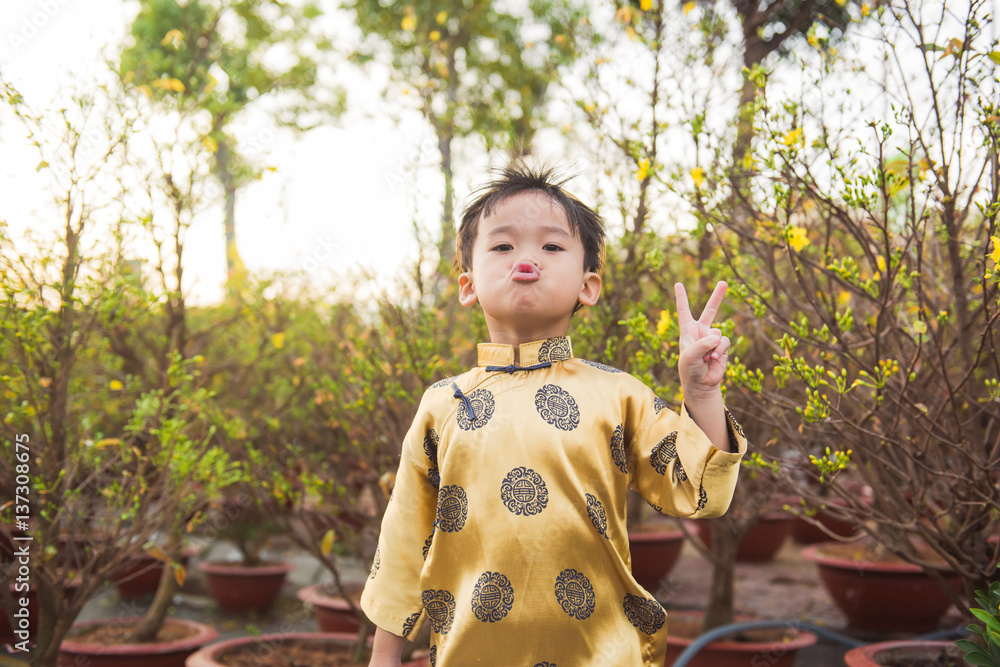 Happy kid having fun with traditional dress (ao dai) in Ochna Integerrima (Hoa Mai) garden. Hoa Mai 