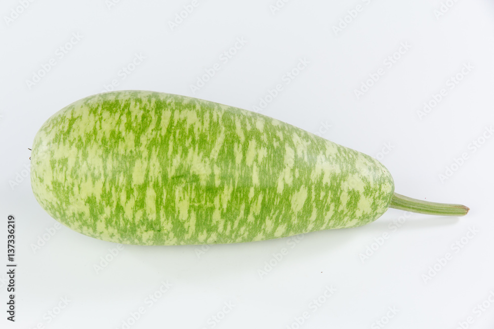 white flowered gourd isolated on white background