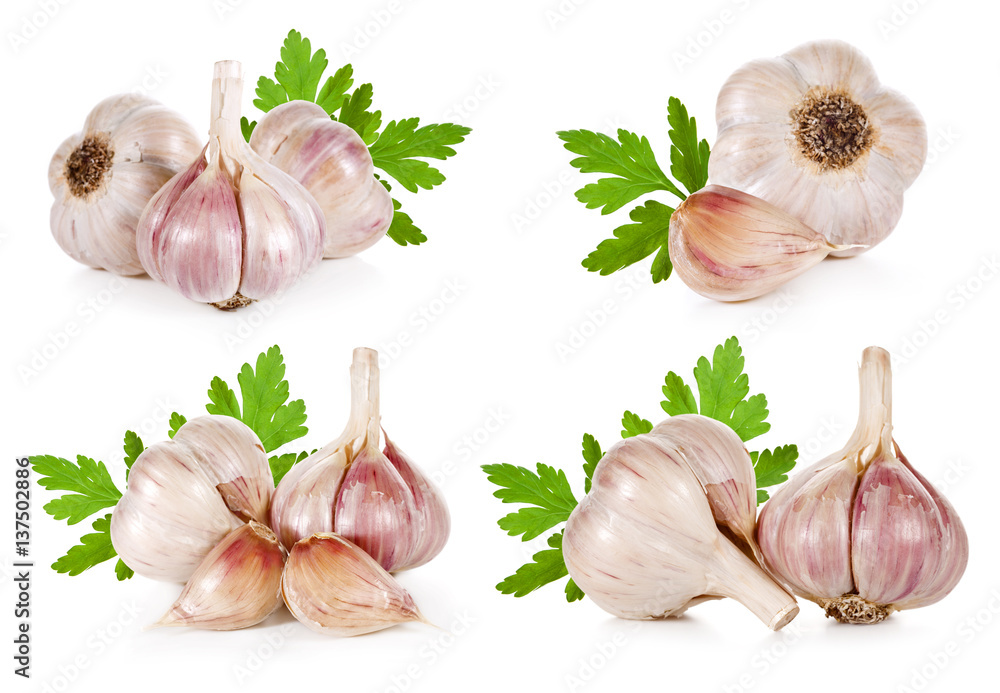 Garlic isolated on white