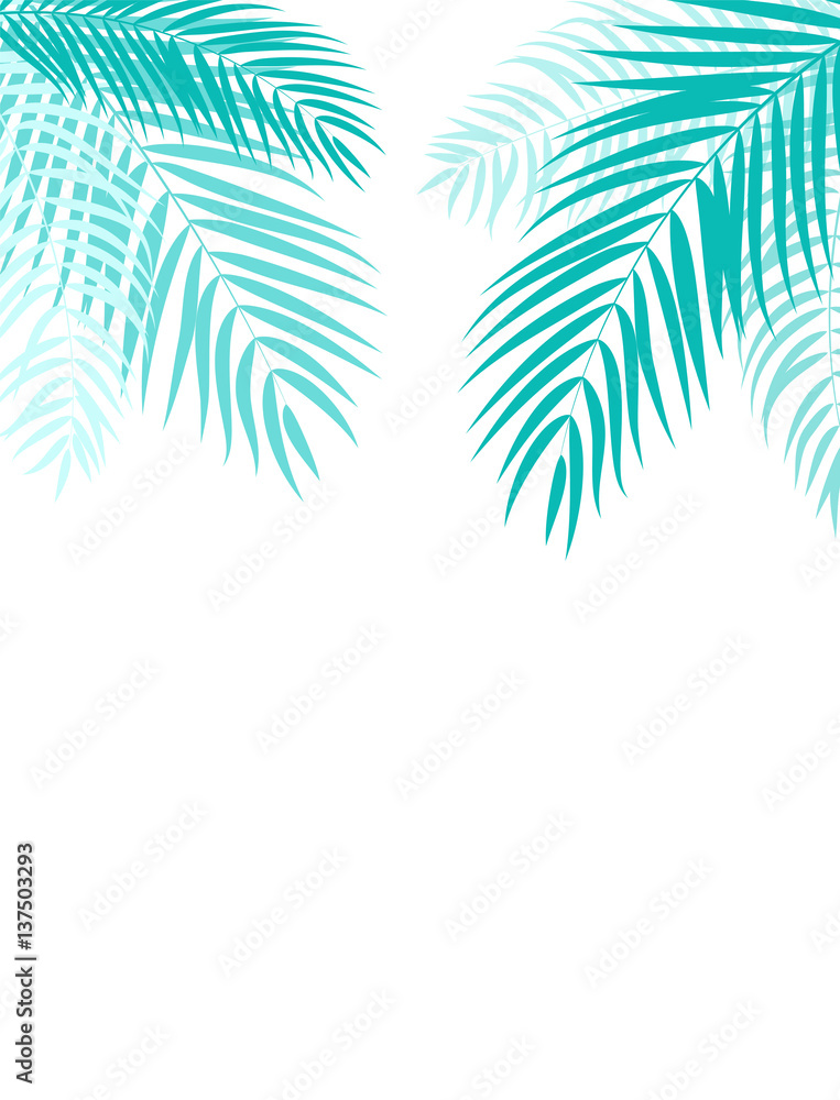 Beautifil Palm Tree Leaf  Silhouette Background Vector Illustrat