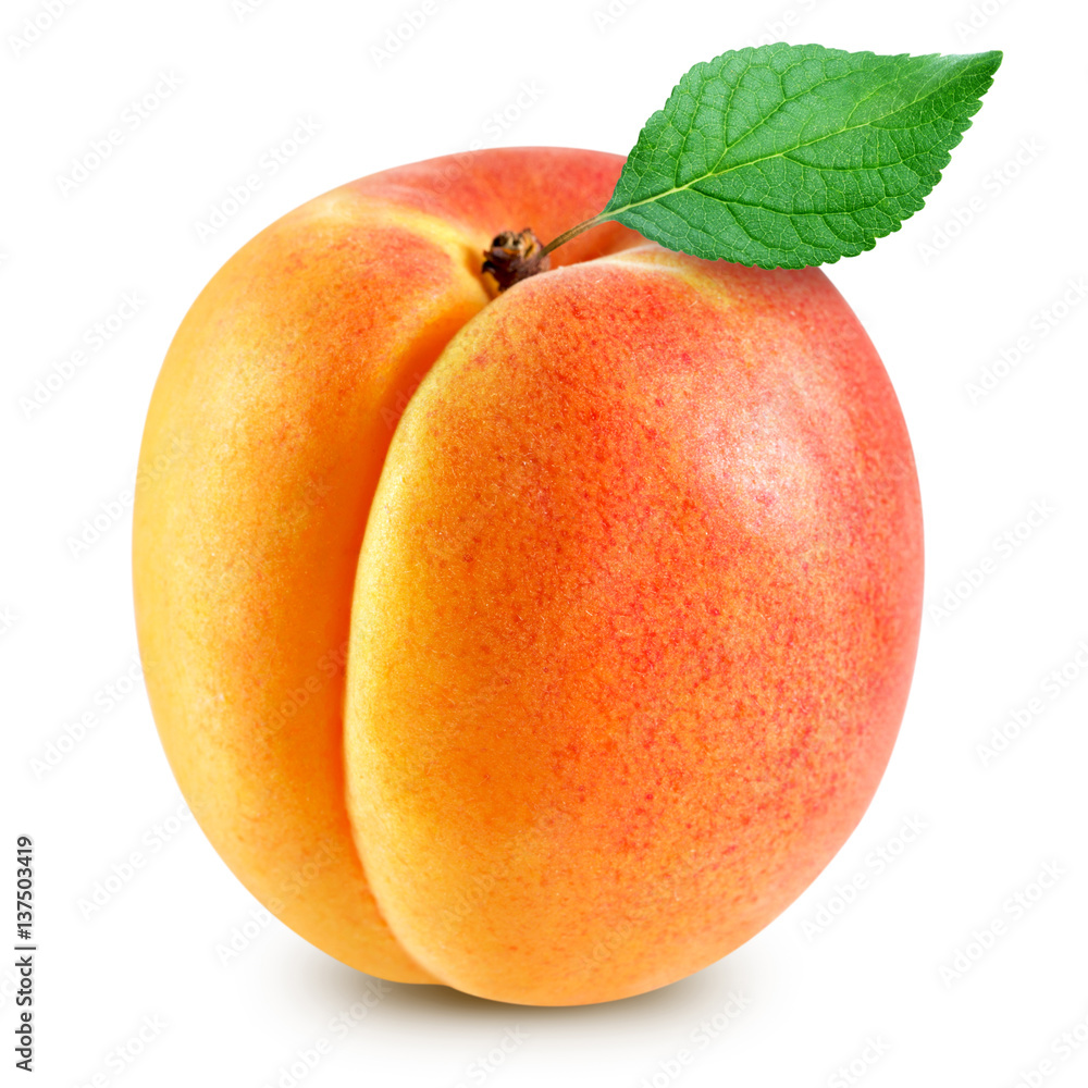 apricot fruits isolated