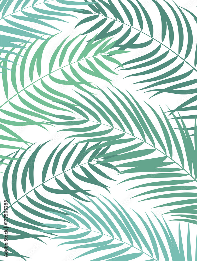 Beautifil Palm Tree Leaf  Silhouette Background Vector Illustrat