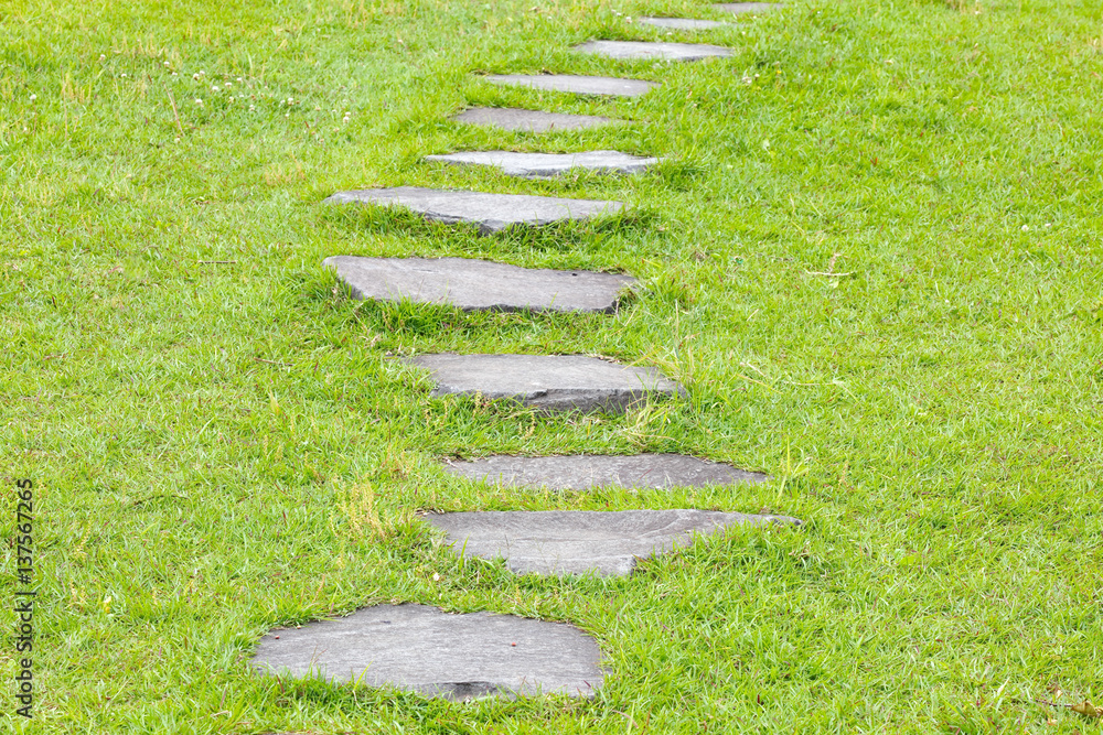 Japanese stone path and green grass in the garden