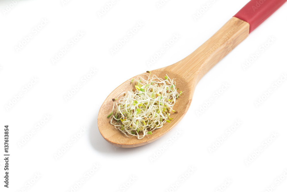 Alfalfa Sprouts into a spoon