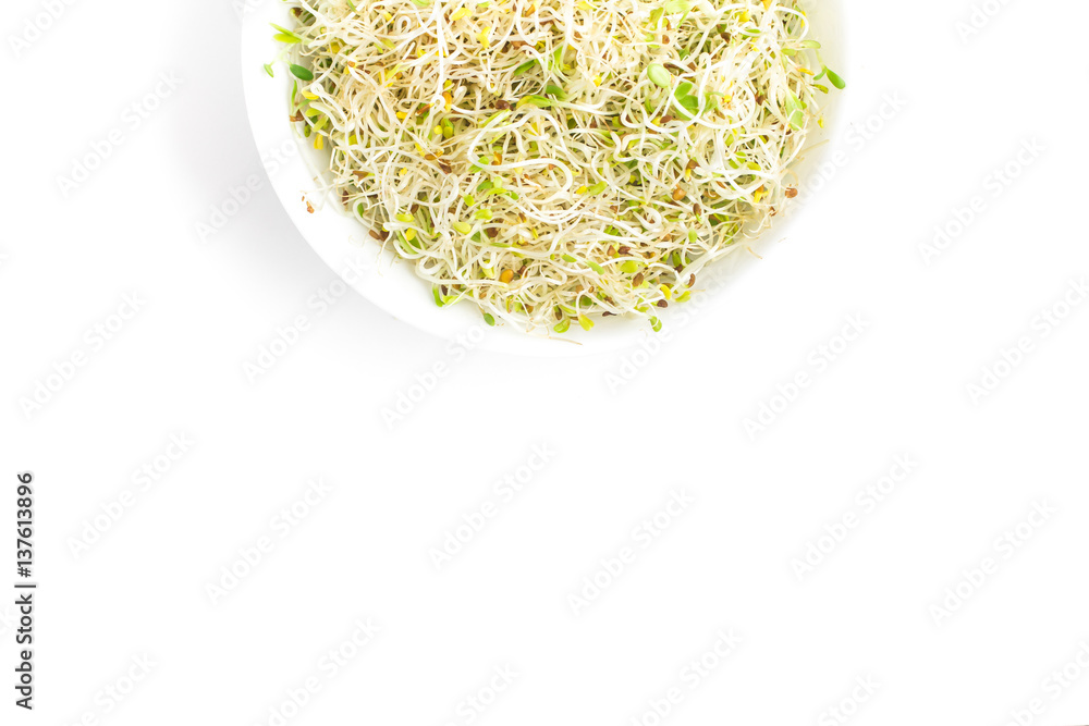 Alfalfa Sprouts into a bowl