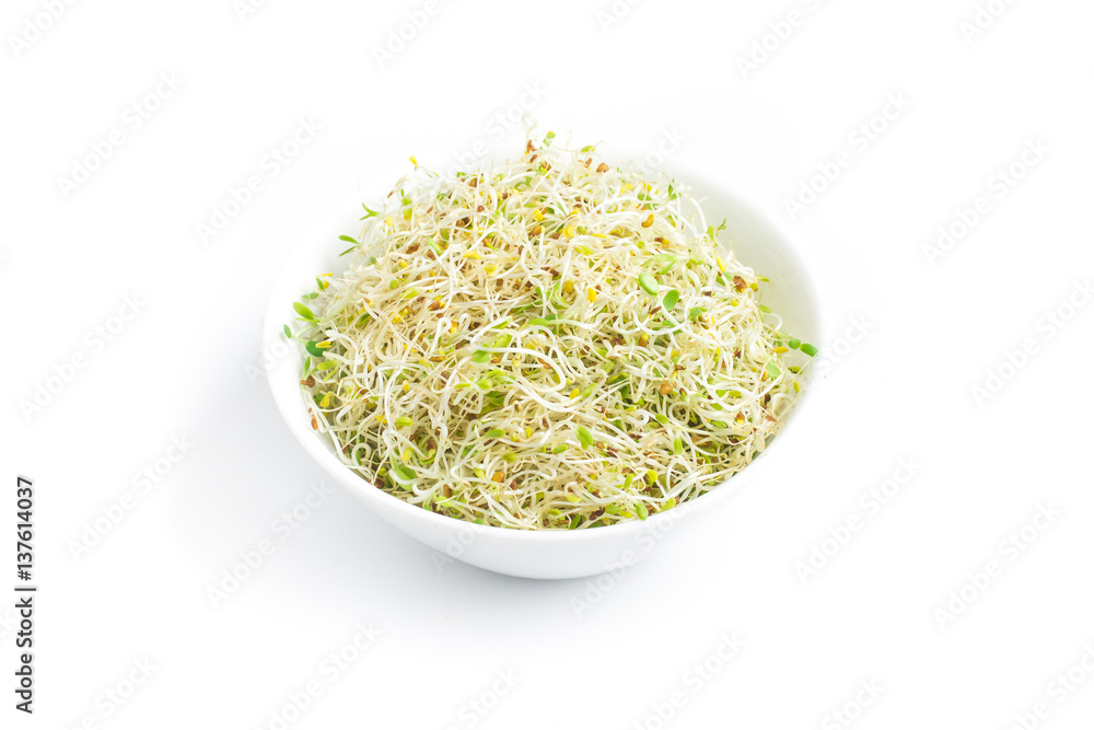 Alfalfa Sprouts into a bowl