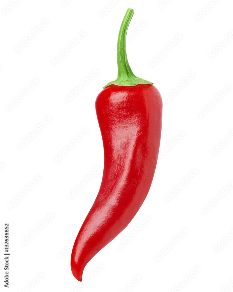 chili pepper isolated