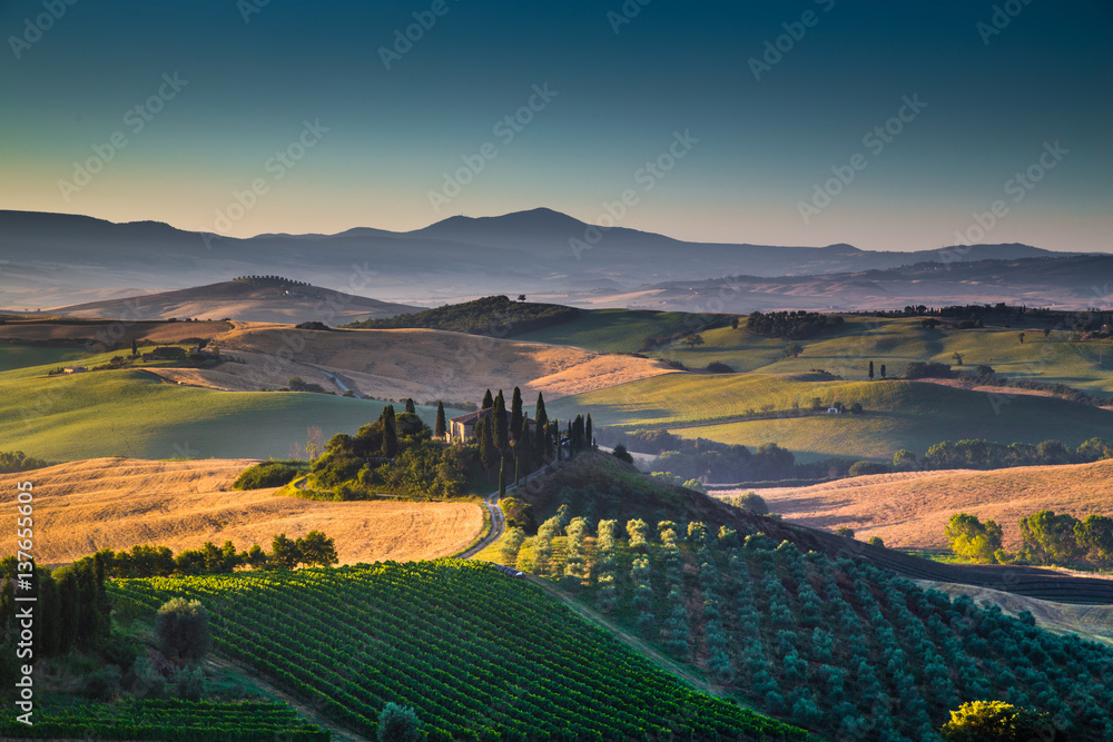 Scenic Tuscany landscape at sunrise, Val dOrcia, Italy