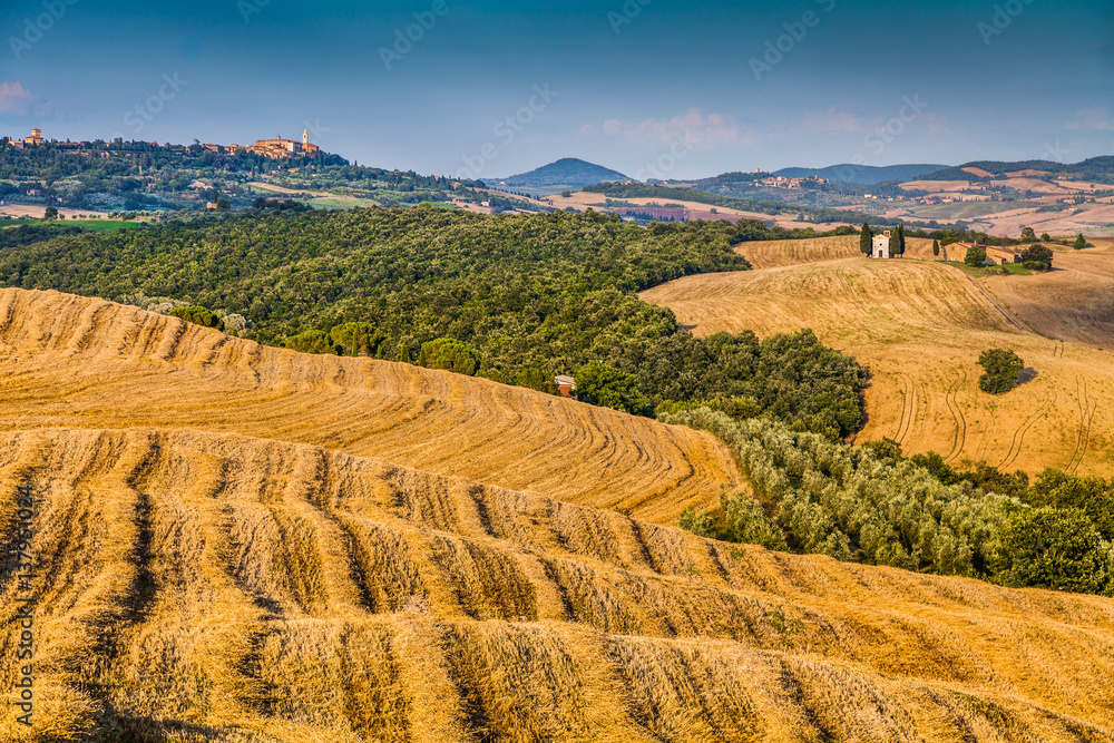 Tuscany landscape with rolling hills at sunset, Val dOrcia, Italy