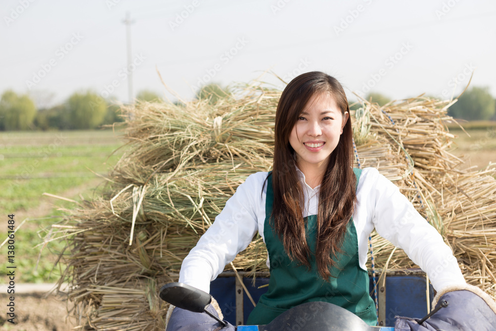 young asian woman agronomist in gold field