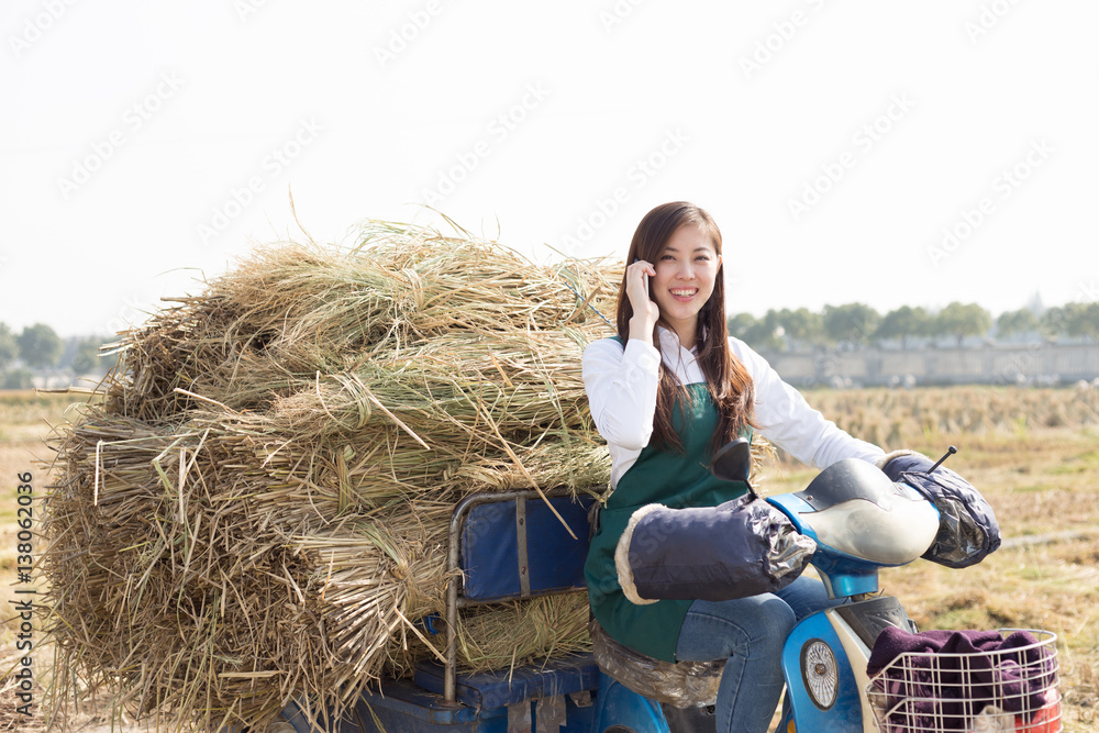 young asian woman agronomist in gold field