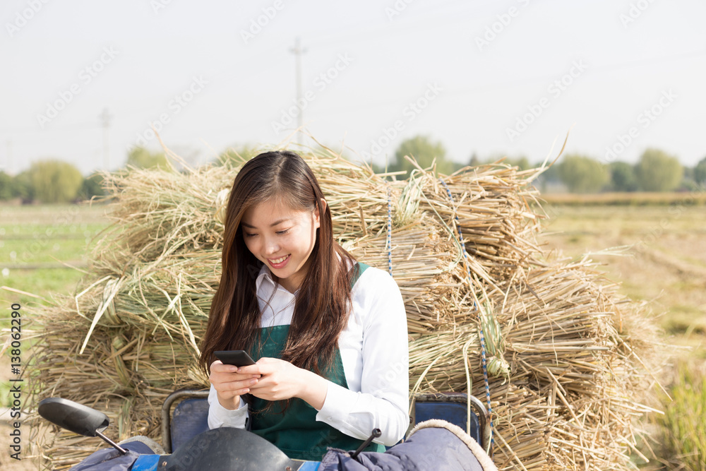 young asian woman agronomist in gold field