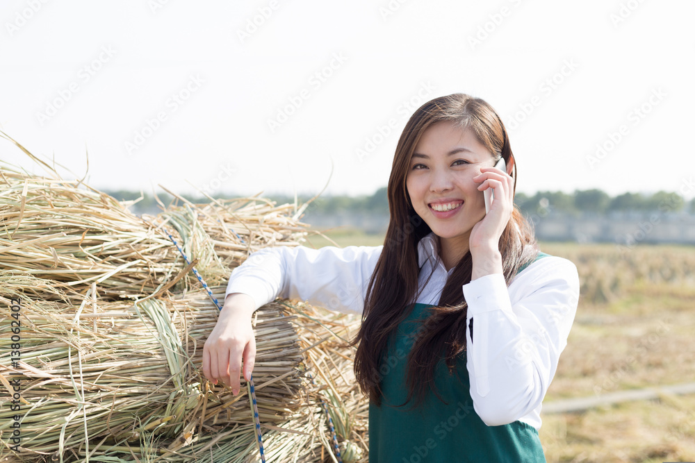 young asian woman agronomist in golden field