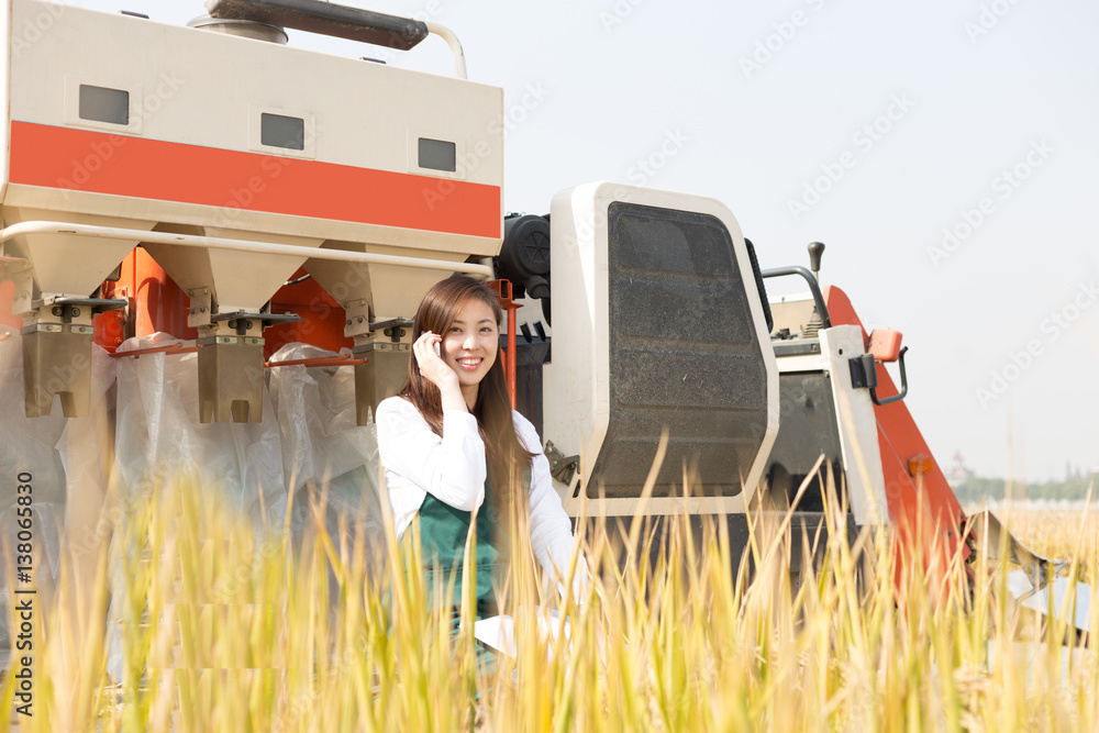 young asian woman agronomist in golden field