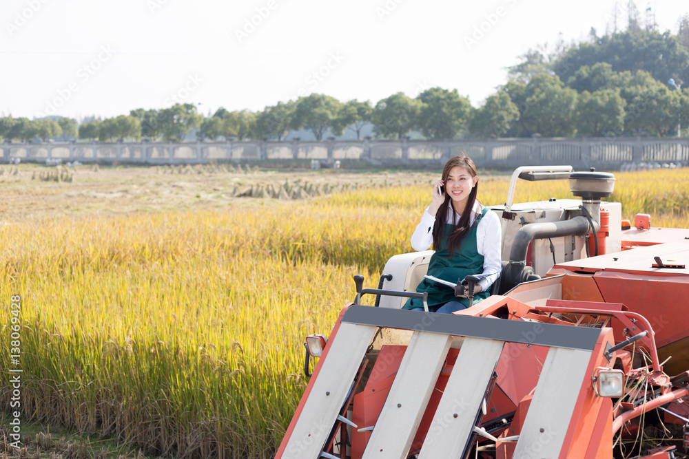 young asian woman agronomist in golden field