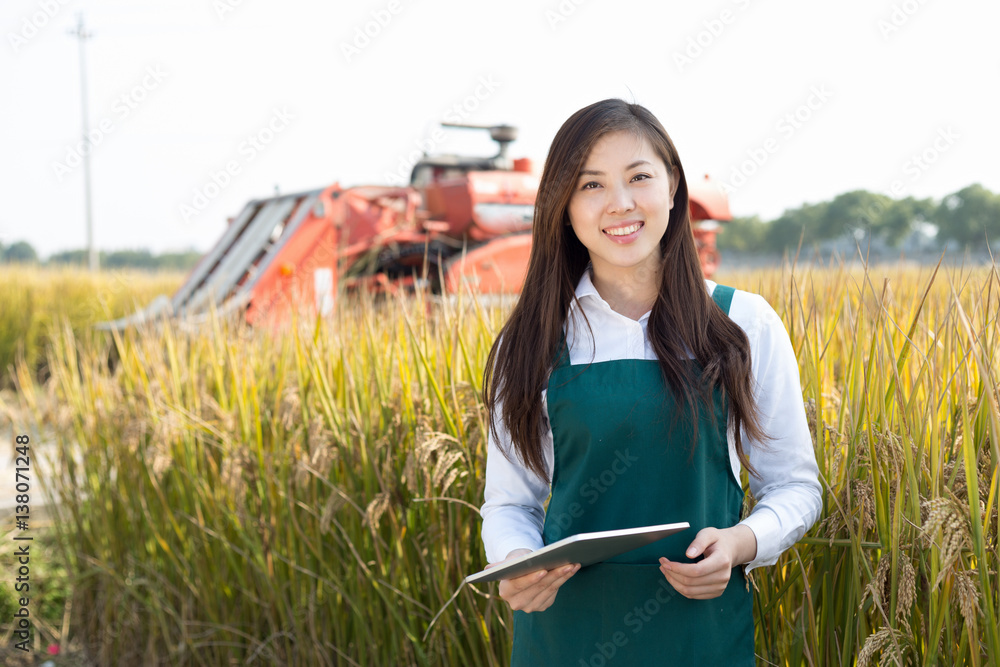 young asian woman agronomist in golden field