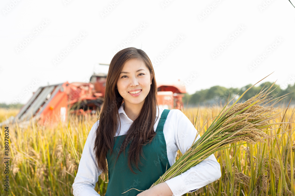 young asian woman agronomist in golden field