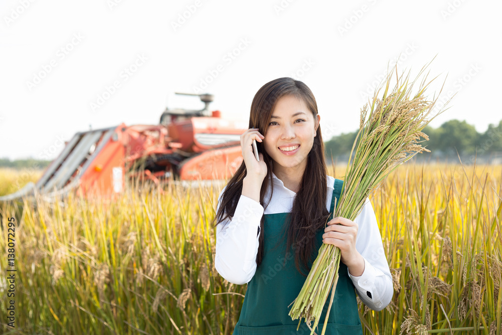 young asian woman agronomist in golden field