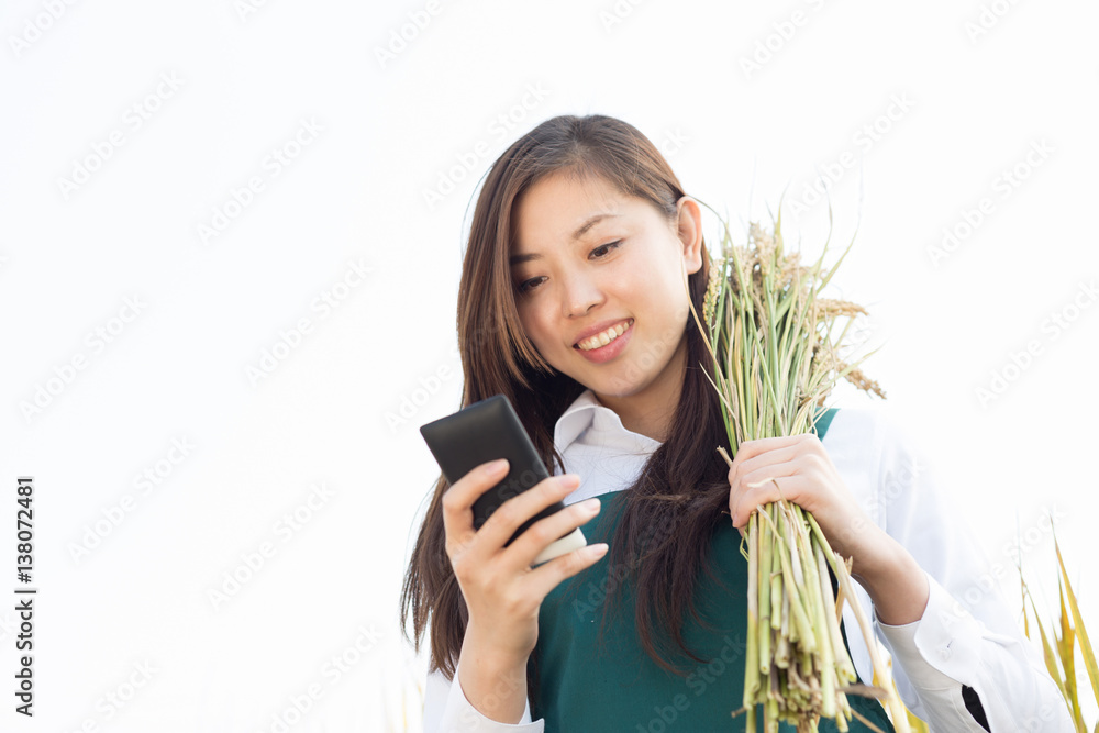 young asian woman agronomist with golden cereal