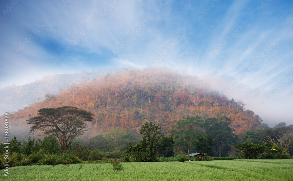 mountains under mist in the morning, nature background