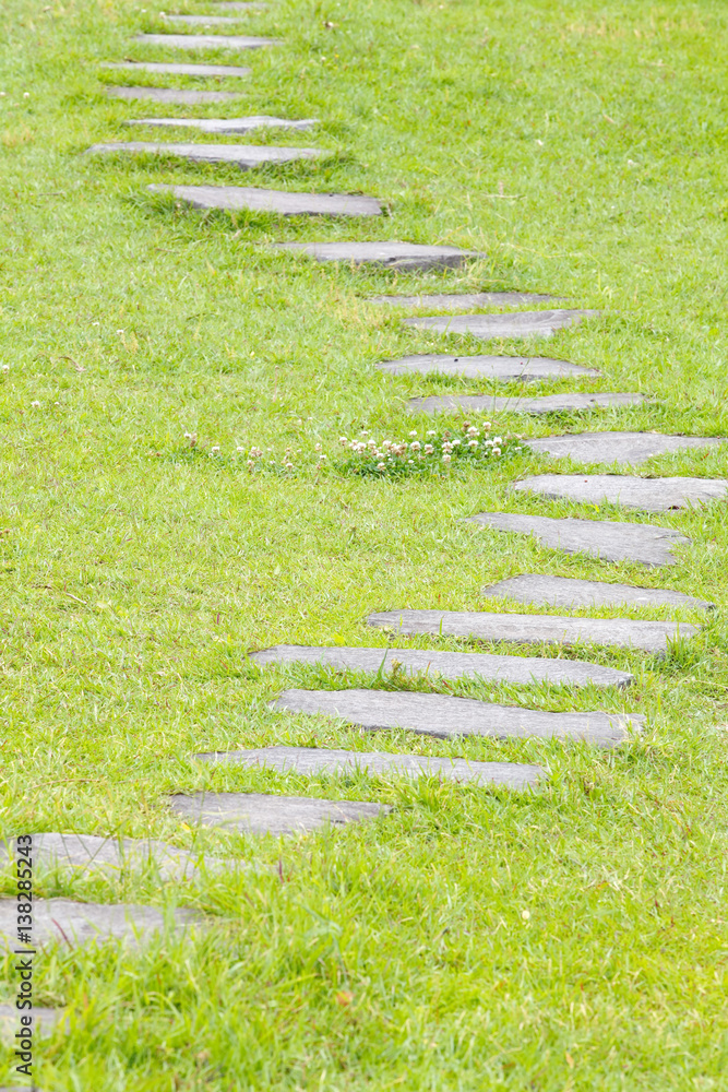 Japanese stone path and green grass in the garden