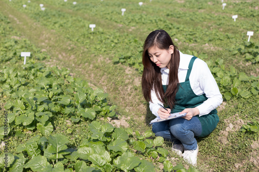 young asian woman in green vegetable field