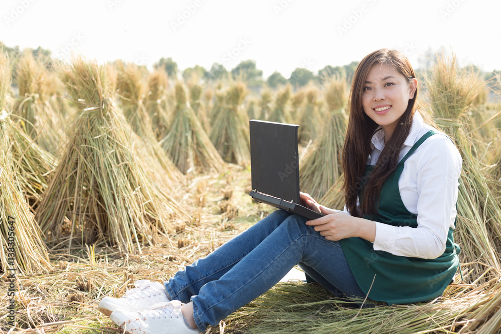 yound asian woman in golden cereal field