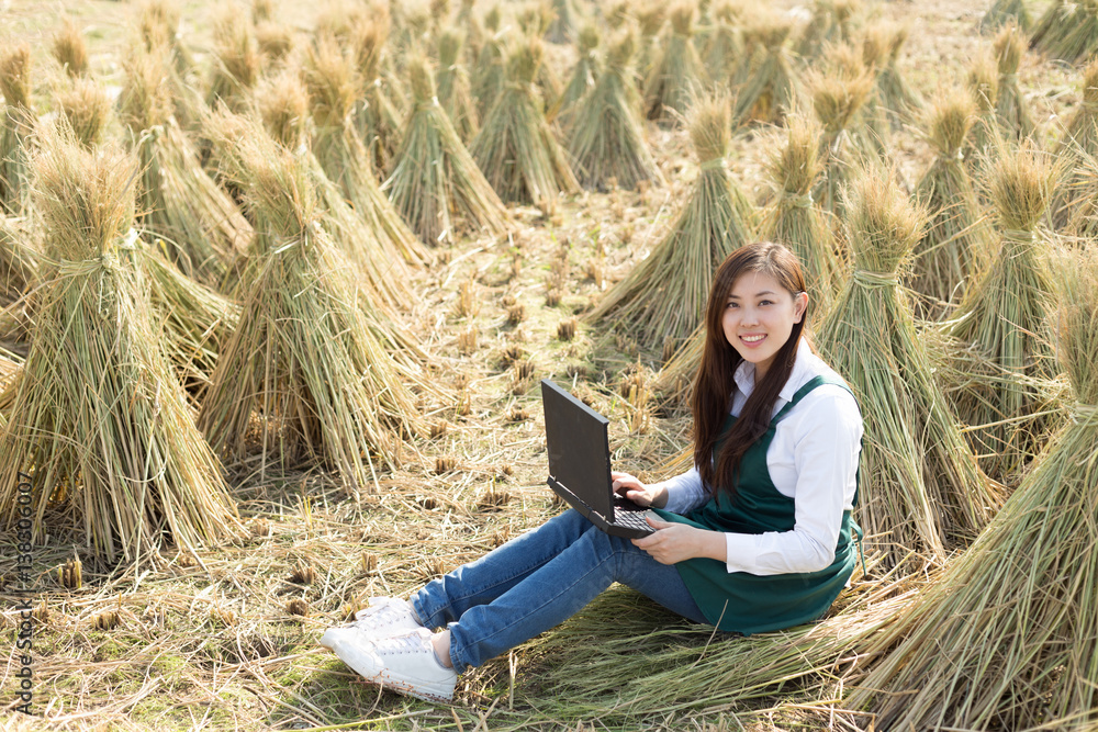 yound asian woman in golden cereal field